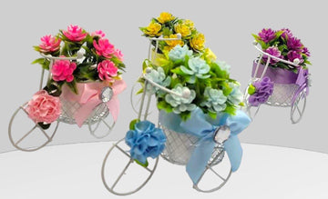 Aranjament flori bicicleta - Egross