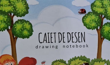 Caiet desen mic - Egross
