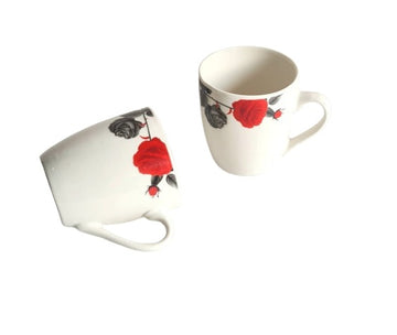 Cana ceramica - Egross