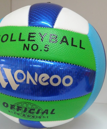 Minge volei - Egross