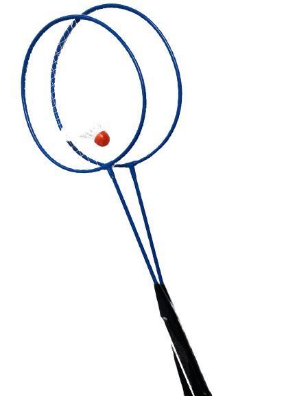 Palete badminton ieftine