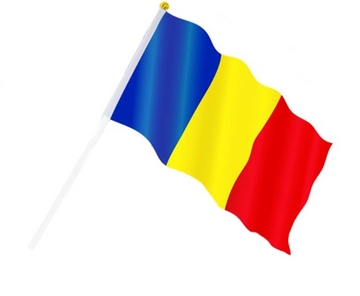Steag romania - Egross