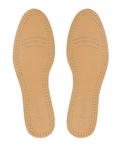 Talpici silicon